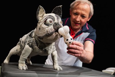 © Foto Bowie Verschuuren