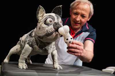 Beefteefjes scenefoto